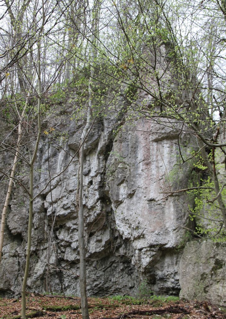 Schronisko Garncarskie, widok ze Szlaku Zółtego, wiodącego Doliną Sąspowską. Fot. Małgorzata Kot