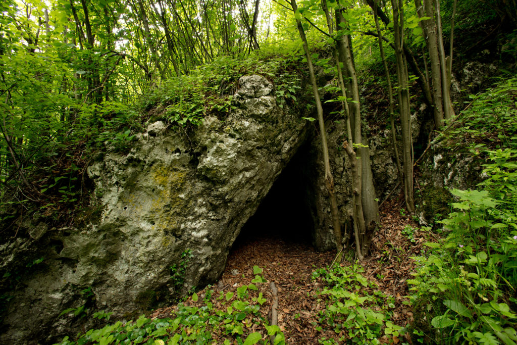 Tunel Wielki Cave – Sąspowska Valley in Prehistoric Times